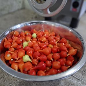 imagem do produto Pimenta Biquinho