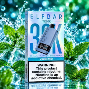 imagem do produto Elfbar TE30K Winter Mint