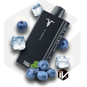 imagem do produto Ignite v250 Bluebarry ICE