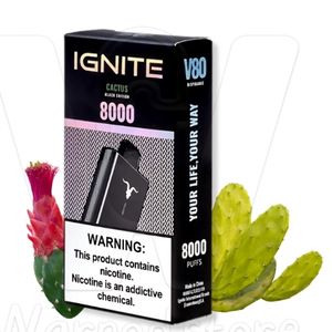 imagem do produto Ignite v80 - Cactus 