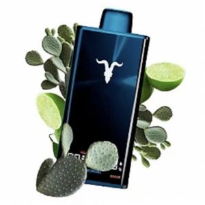 imagem do produto Ignite v300 cactus Lime Soda 