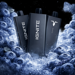 imagem do produto Ignite V55 Blueberry ice