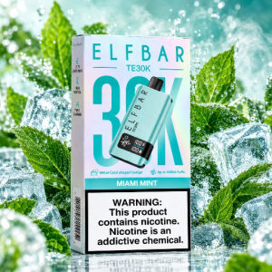 imagem do produto Elfbar TE30k Miami Mint