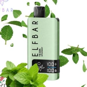 imagem do produto Elfbar TE30k Miami Mint