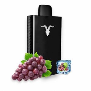 imagem do produto Ignite v250 Grape ICE 