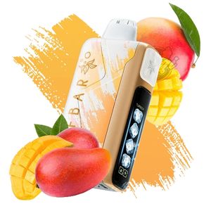 imagem do produto Elfbar ICE King 40k Mango Magic 