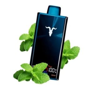 imagem do produto Ignite v300 Menthol 