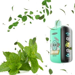 imagem do produto Elfbar GH23K Miami Mint 