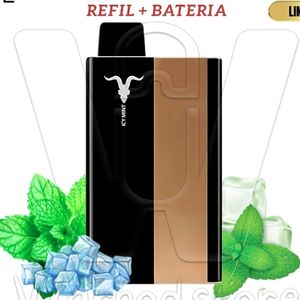 imagem do produto Ignite P100 ICY MINT 