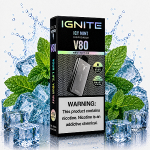 imagem do produto Ignite v80 Icy Mint ❄️