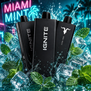 imagem do produto Ignite V55 Miami mint
