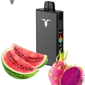 imagem do produto Ignite v250 Watermelon Dragon Fruit 