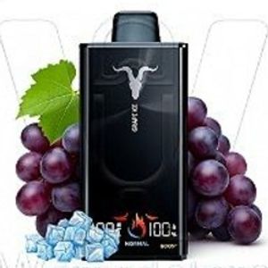 imagem do produto Ignite v300 Grape ICE