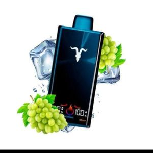imagem do produto Ignite v300 Aloe Grape