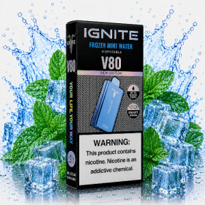 imagem do produto Ignite v80 New Edition FROZEN MINT WATER ❄️