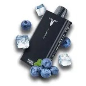 imagem do produto Ignite v80 Blueberry ice