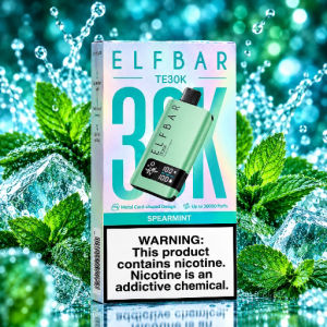 imagem do produto Elfbar TE30k Spearmint