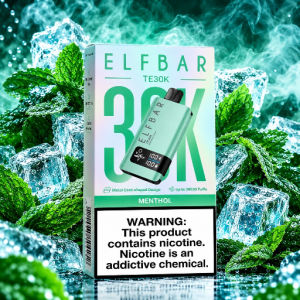 imagem do produto Elfbar TE30k Menthol