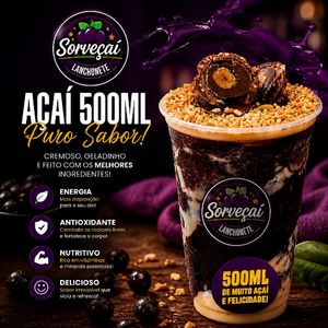 imagem do produto AÇAI 500ml 