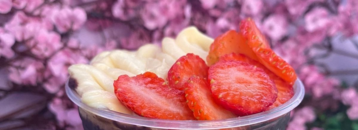 AÇAÍ DA ALÊ  logo