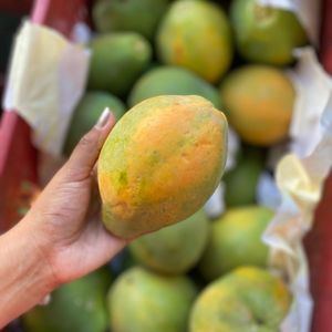 imagem do produto Mamão Havaí 