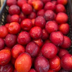 imagem do produto Ameixa