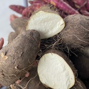 imagem do produto Cará São Tomé 