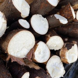 imagem do produto Macaxeira | 1kg