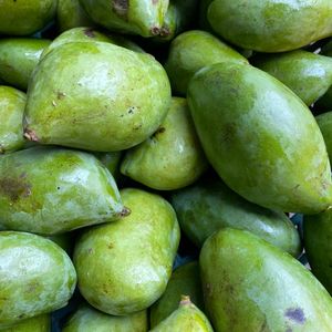 imagem do produto Manga espada 