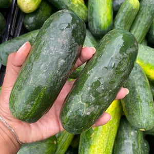 imagem do produto Pepino caipira 