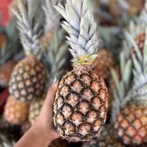 imagem do produto Abacaxi M