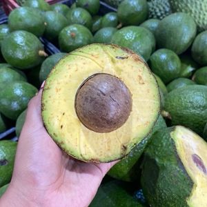 imagem do produto Abacate Bola