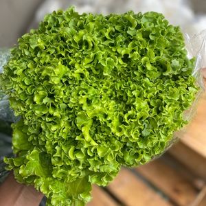 imagem do produto Alface Crespa 