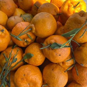 imagem do produto Laranja Pocan | 1kg