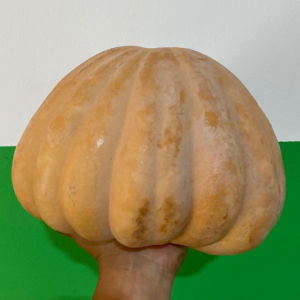 imagem do produto Jerimum | 1kg