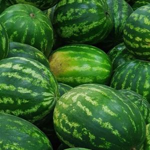 imagem do produto Melancia 