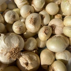 imagem do produto Cebolinha branca 