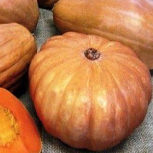 imagem do produto Abóbora de leite 