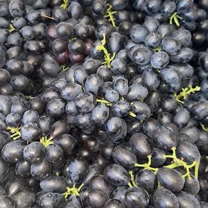 imagem do produto Uva roxa Vitória sem semente