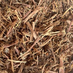 imagem do produto Unha de gato