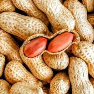 imagem do produto Amendoim com casca 