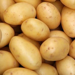 imagem do produto Batatinha 