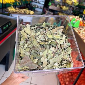 imagem do produto Eucalipto 