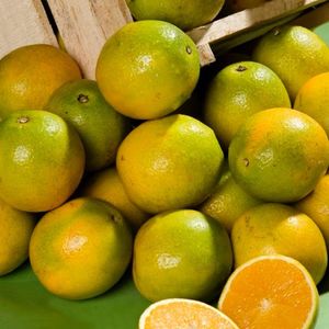 imagem do produto Laranja 