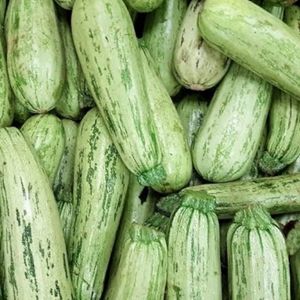 imagem do produto Abobrinha 