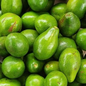 imagem do produto Abacate 