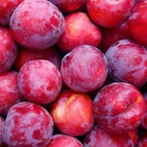 imagem do produto Ameixa 