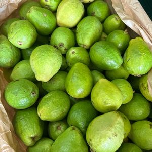 imagem do produto Goiaba 