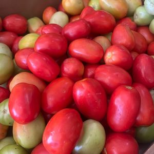 imagem do produto Tomate tipo 2