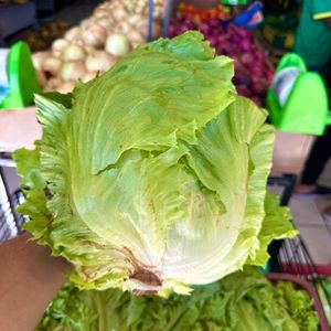 imagem do produto Alface americano (unidade)